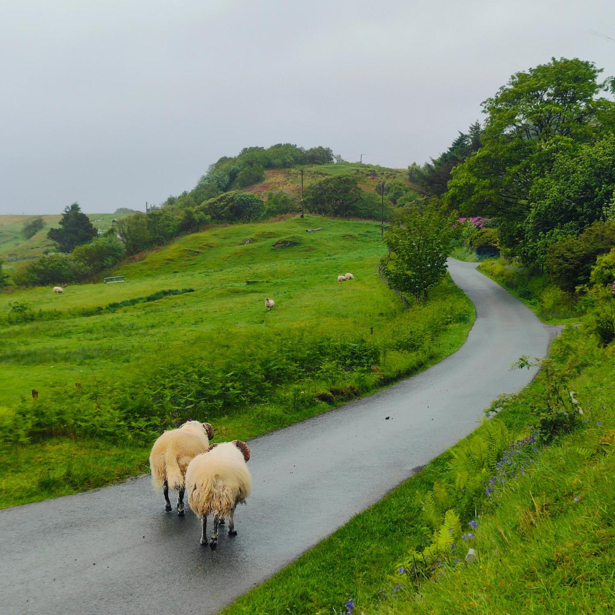 Kintyre Caravan Portree Luaran gambar