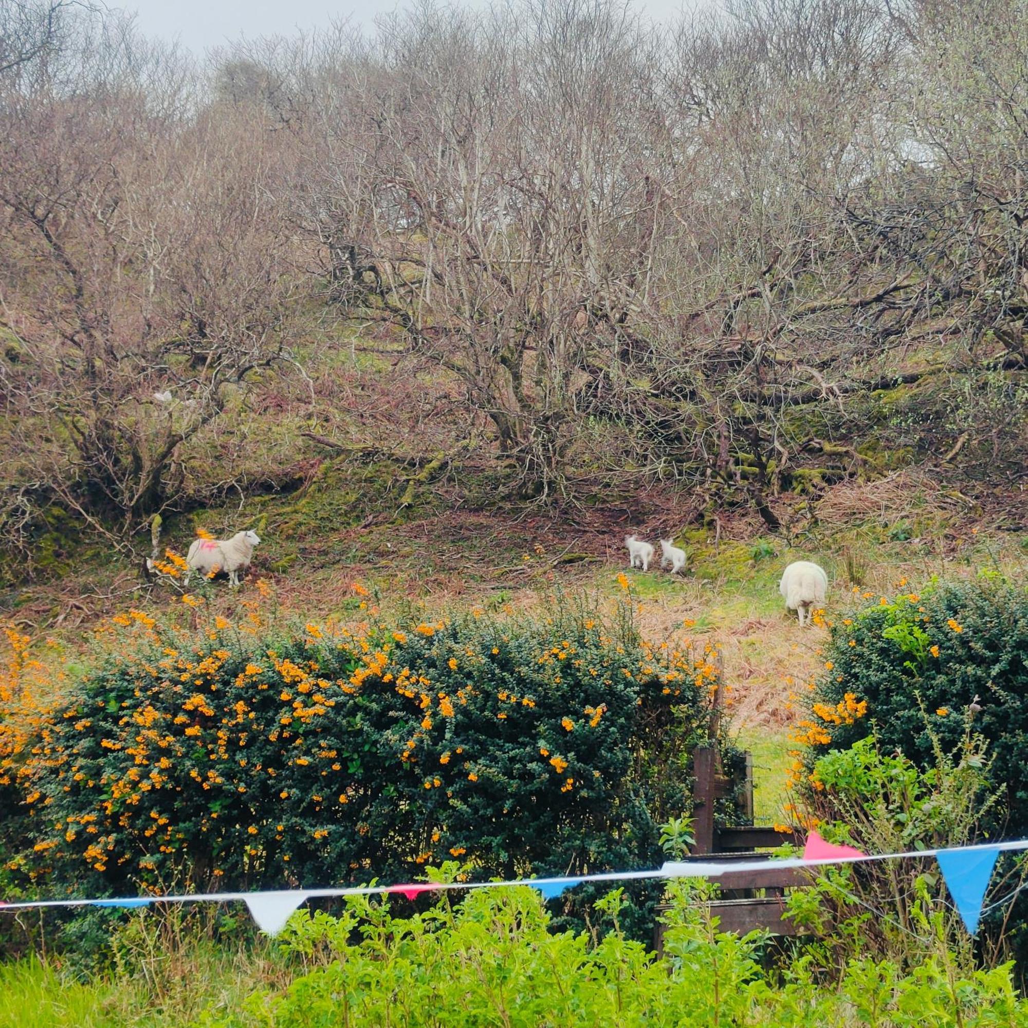 Kintyre Caravan Portree Luaran gambar